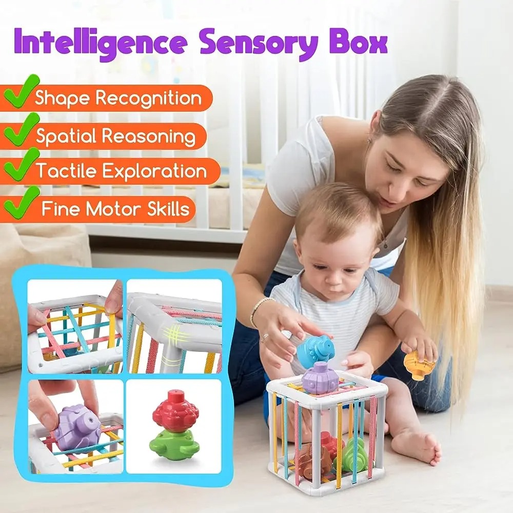 Mainan Edukasi Kognitif Pelati - Kids Toys Variety ulasan dan harga